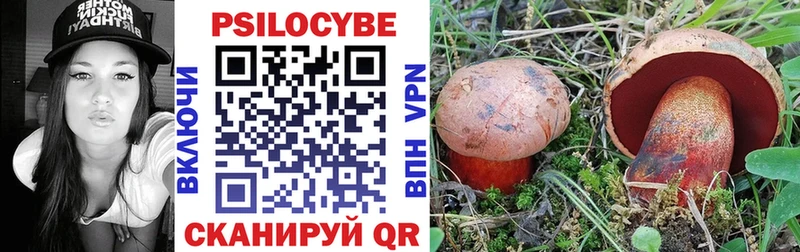 Галлюциногенные грибы Psilocybine cubensis Среднеколымск